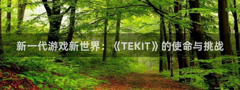 蓝冠娱乐主管：新一代游戏新世界：《TEKIT》的使命与挑战