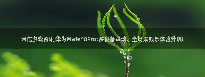 蓝冠娱乐的意思：阿信游戏资讯|华为Mate40Pro:多设备