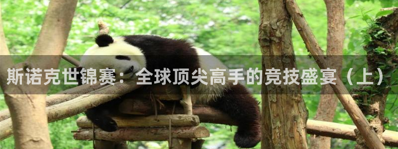 极速体育nba直播吧