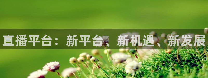 nba视频直播 极速体育