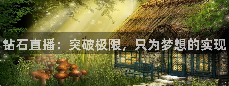 nba直播在线观看极速体育
