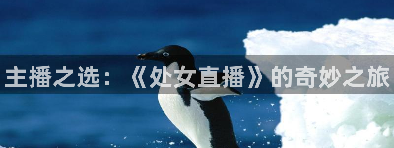 nba直播视频直播在线观看视频极速体育