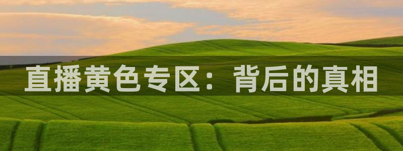极速直播足球直播