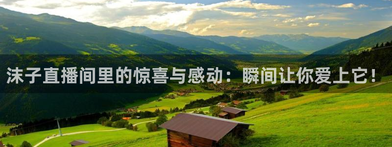 极速直播体育在线直播