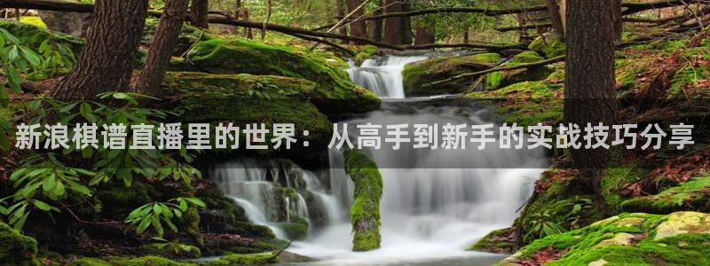 nba直直播吧极速体育：新浪棋谱直播里的世界：从高手到新手的实战技巧分享